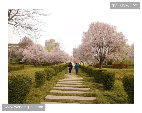 问鼎www：从零到一的建站指南，助你在网络世界中稳占一席之地