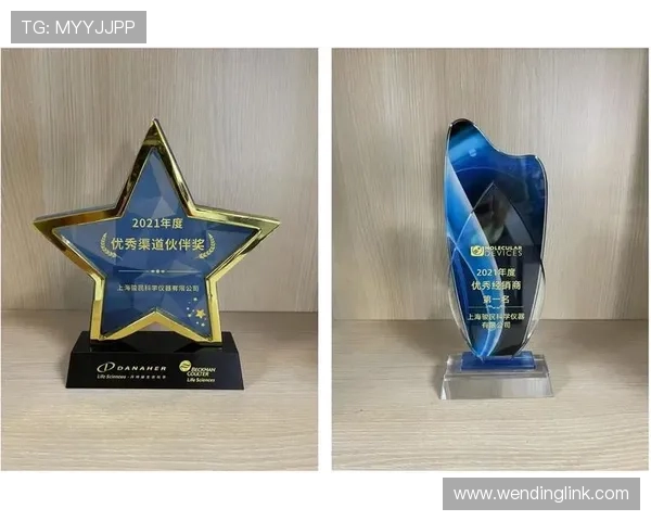 问鼎娱乐集团网址官方导航,便捷访问公司新闻、投资信息及合作渠道