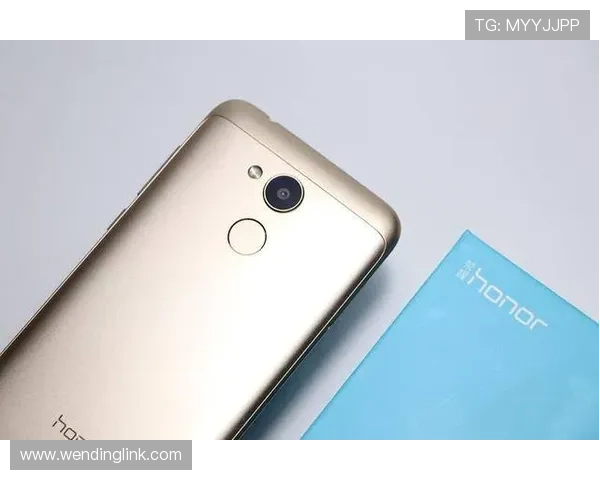 问鼎官方入口优化界面设计，操作更流畅体验更顺畅